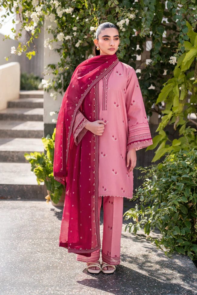 XENIA LUXURY LAWN XE-82